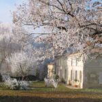 Stage yoga écriture Gite le Marignier vert